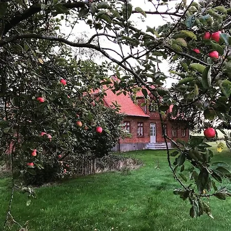 别墅 Stort Smukt Hus Med Havudsigt Taet Pa Mons Klint 博雷