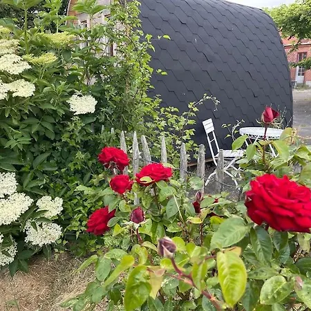 Villa Stort Smukt Hus Med Havudsigt Taet Pa Mons Klint Borre